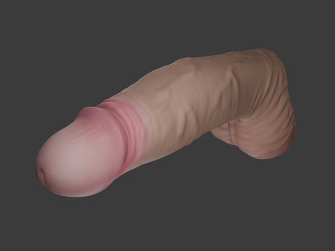 Realistic Man Penis 3Dモデル