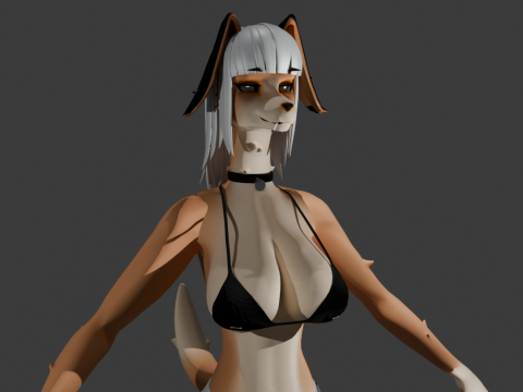 Woman Furry Dog Modello 3D
