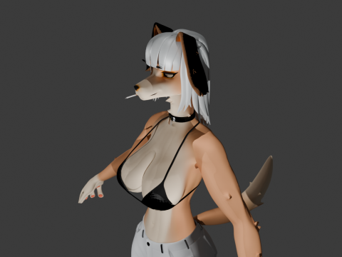 Woman Furry Dog Modello 3D