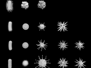 bacterias virus set Modello 3D
