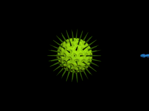 bacterias virus set Modello 3D