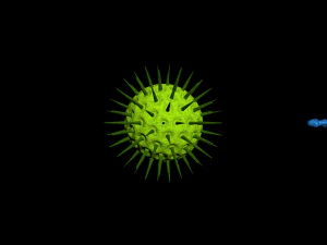 bacterias virus set 3D Model