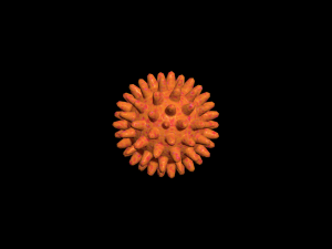bacterias virus set Modello 3D