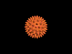 bacterias virus set 3D Model