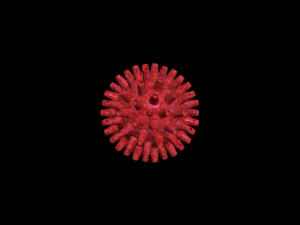 bacterias virus set Modello 3D