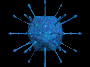 bacterias virus set Modello 3D