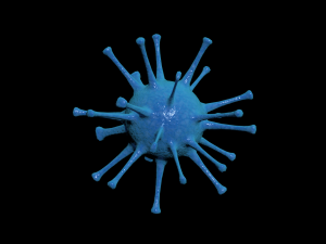 bacterias virus set Modello 3D