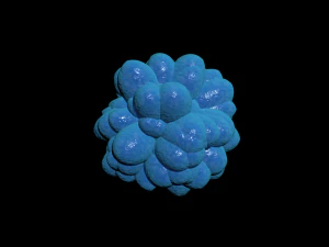 bacterias virus set 3D Model