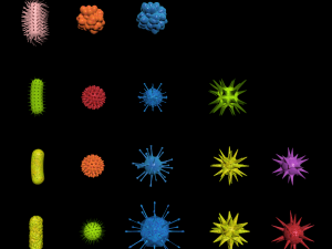 bacterias virus set Modello 3D