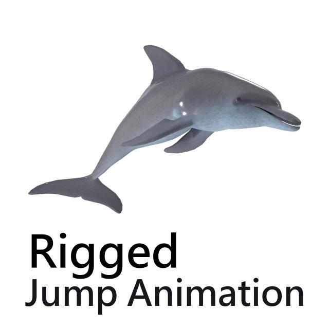 dolphin rigged jump animation 3D 模型 .c4d .max .obj .3ds .fbx .stl .blend 