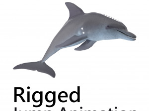dolphin rigged jump animation 3D Model