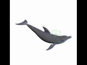 dolphin rigged jump animation 3D Model