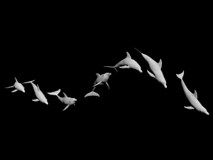 dolphin rigged jump animation 3D 模型