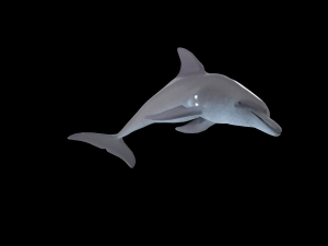 dolphin rigged jump animation 3D 模型
