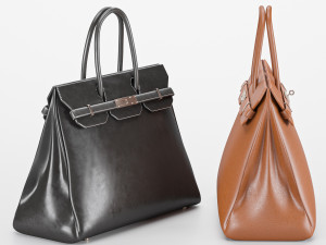 ladies bag 3D Модель