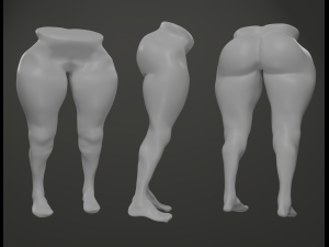 female leg Model 3D