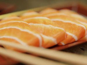 Saşimi Seti 3D Model