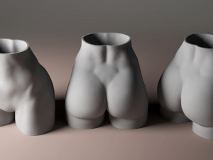 3d printable female hips holder pot presupported 3D Print Model