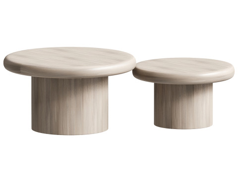 SPROUT WHITEWASH NESTING COFFEE TABLES Modelo 3D