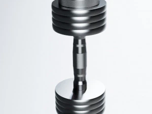 dumbbell 3D Model