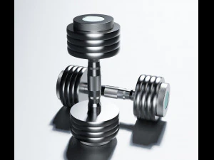 dumbbell 3D Model