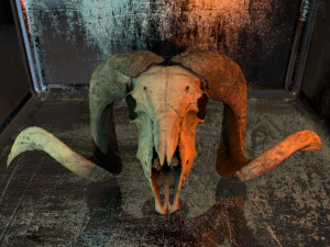 3d ram model 3D Model