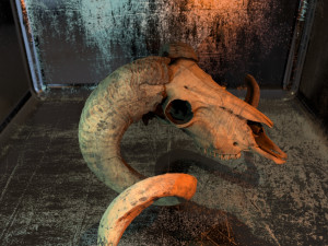 3d ram model 3D-Modell