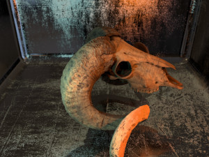3d ram model 3D-Modell