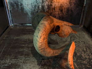 3d ram model 3D-Modell