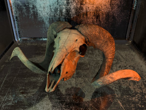 3d ram model 3D-Modell