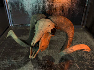 3d ram model 3D Model