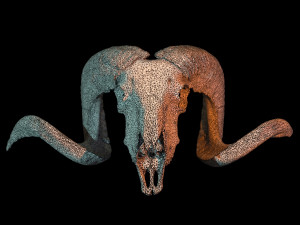 3d ram model 3D-Modell