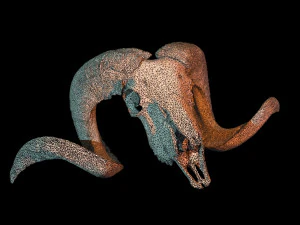 3d ram model 3D Model