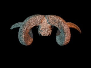 3d ram model 3D-Modell