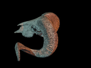 3d ram model 3D-Modell
