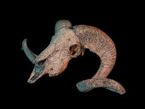 3d ram model 3D-Modell