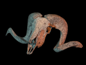 3d ram model 3D-Modell