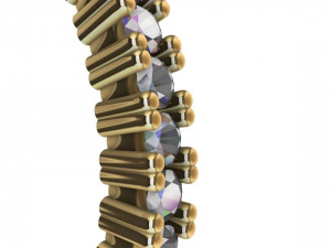 eternity women ring - 3d print model 3D प्रिंट मॉडल