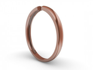 hollow women ring - free 3d print model Modelo de Impressão 3D