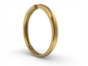 hollow women ring - free 3d print model Modelo de Impressão 3D
