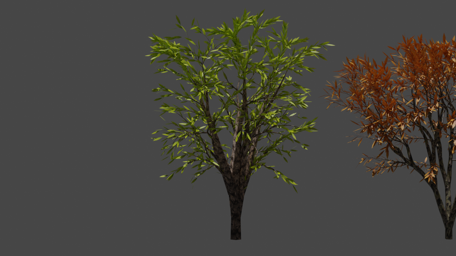 Деревья для многослойного куба. Кетелеерия форчуна. Дерево 8к. Деревья в 3ds max. Шезлонг poly tree 3d model.