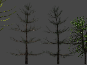 8 trees Model 3D