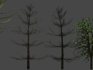8 B&auml;ume 3D Modell
