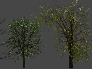 8 trees Model 3D