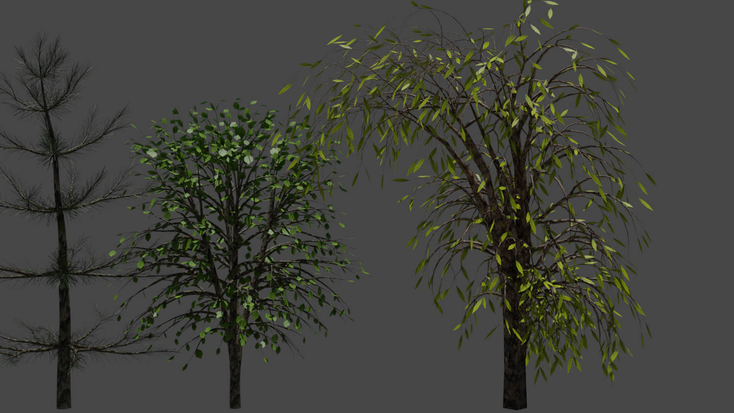 3d models trees for printing. Дерево для 3д макс. Кетелеерия давида. 2. Текстура дерева фэнтези.