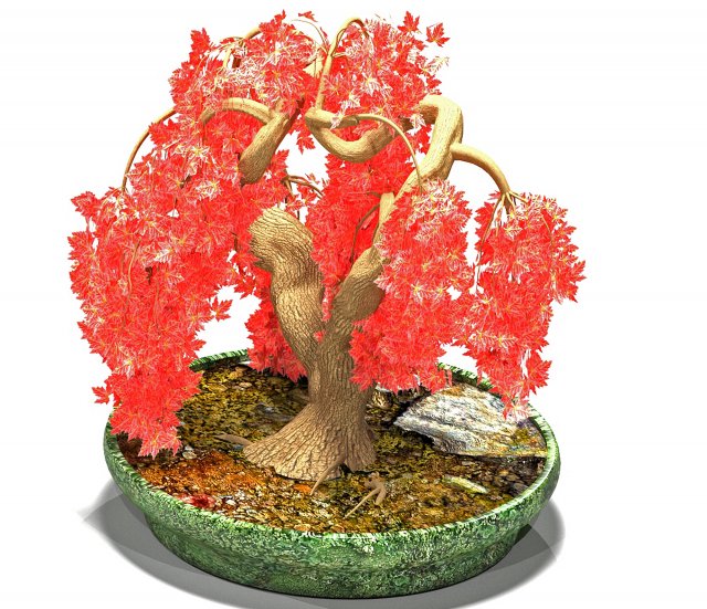 red maple Model 3D .c4d .max .obj .3ds .fbx .stl .blend 