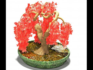 red maple Modelo 3D