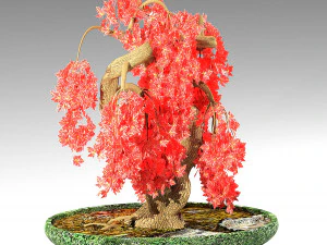 arce rojo Modelo 3D
