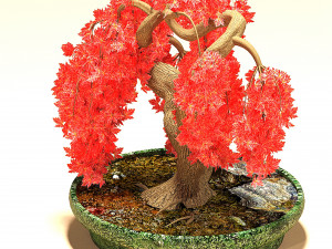 red maple Model 3D