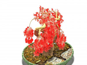 red maple Model 3D